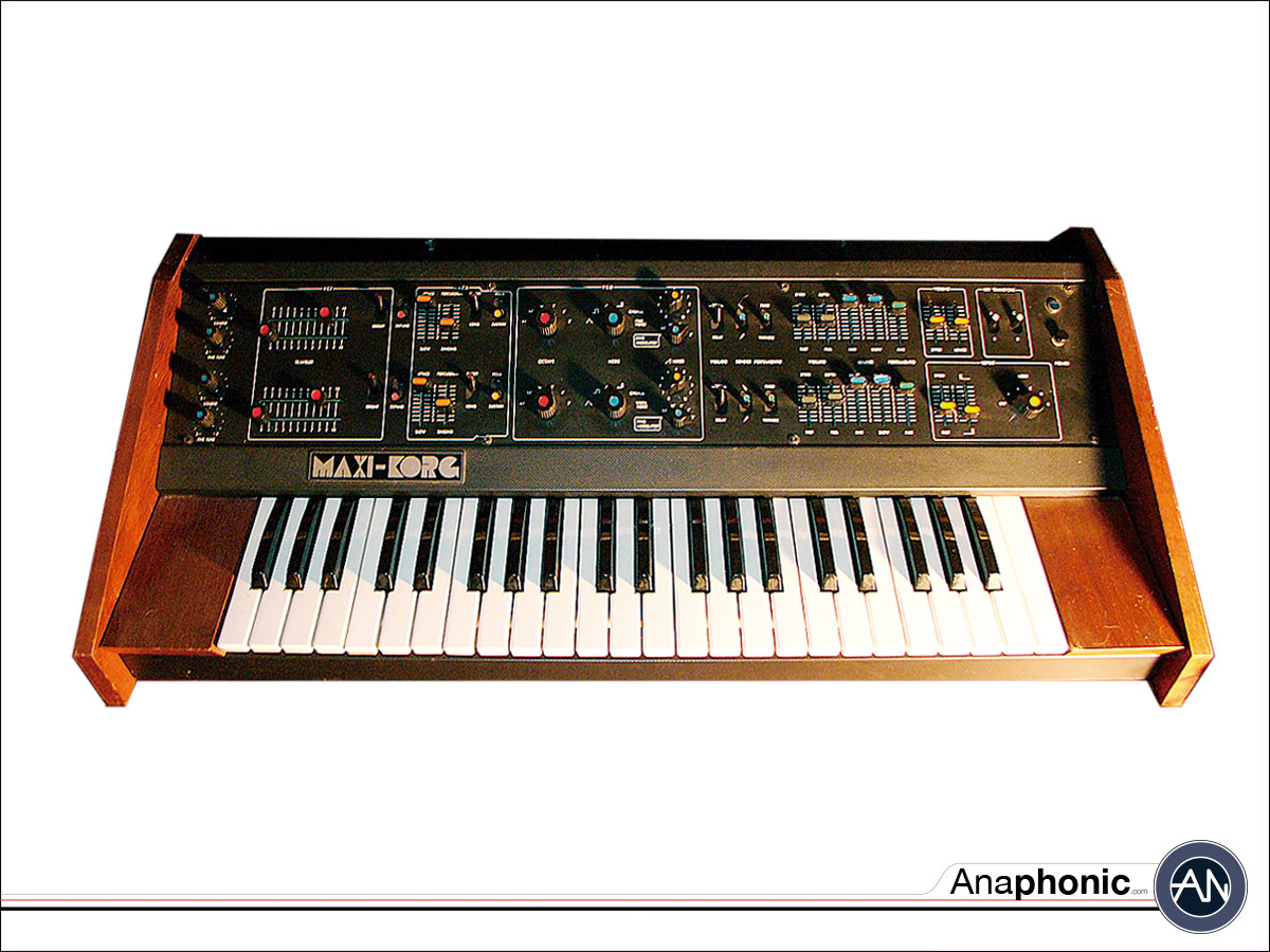 korg_maxikorg800dv_1