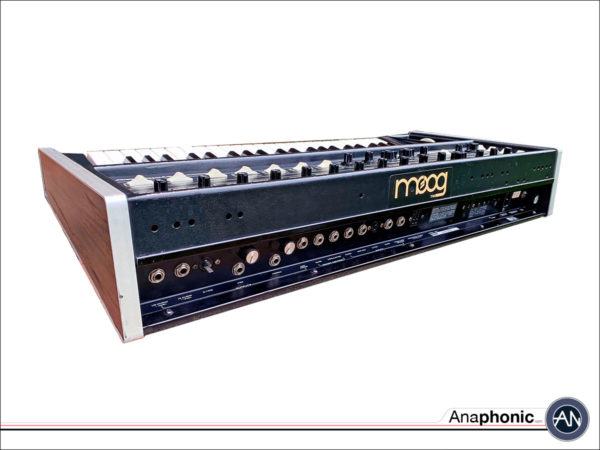 | moog multimoog 2 |
